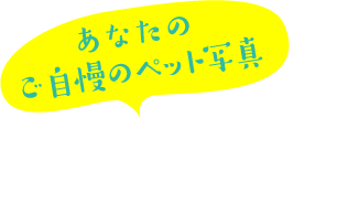 あなたのご自慢のペット写真大募集!