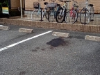 レオパレスハグレー　トマツⅡ 206｜尼崎市富松町（阪急神戸線武庫之荘駅）のアパートその他6