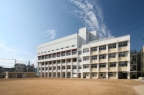 アヴェニール深江南 101｜神戸市東灘区深江南町（阪神本線深江駅）のマンションその他8