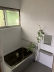 ひよどり戸建 ｜神戸市兵庫区鵯越筋（神戸電鉄有馬線長田駅）の貸家その他8