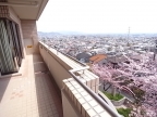 ロイヤルアーク逆瀬川 103｜宝塚市野上（阪急今津線逆瀬川駅）のマンションその他7