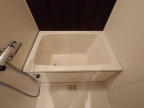 フレックス芦屋 205｜芦屋市業平町（ＪＲ東海道本線（近畿）芦屋駅）のマンションその他4