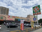 ベルヴィル浜甲子園 302｜西宮市浜甲子園（阪神本線甲子園駅）のマンションその他6