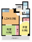 西宮市甲東園の賃貸