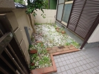 松ノ内町戸建 1｜芦屋市松ノ内町（阪急神戸線芦屋川駅）の貸家その他2